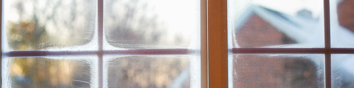 Frosted windows at Wrexham home