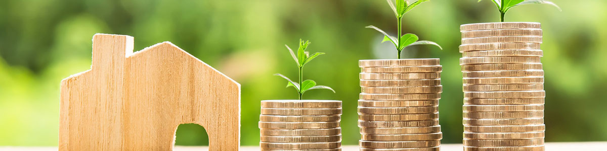 Trees growing from piles of coins