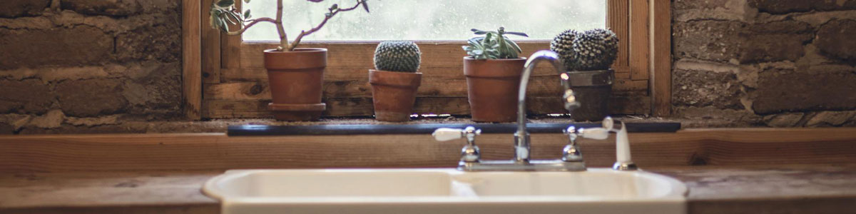 Row of plants on kitchen windowsill